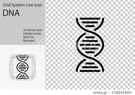 DNAのアイコン,二重螺旋、ヘリックス模型 DNAのアイコン,二重螺旋、ヘリックス模型 138042664