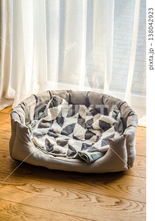 Cozy and empty pet bed with a soft patterned blanket, waiting on a wooden floor in a sunlit room. Cozy and empty pet bed with a soft patterned blanket, waiting on a wooden floor in a sunlit room. 138042923