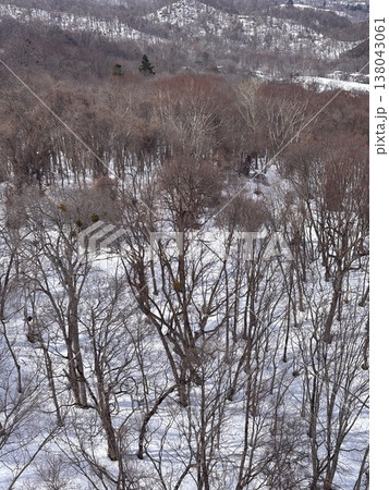 札幌もいわ山ロープウェイから見た景色 札幌もいわ山ロープウェイから見た景色 138043061