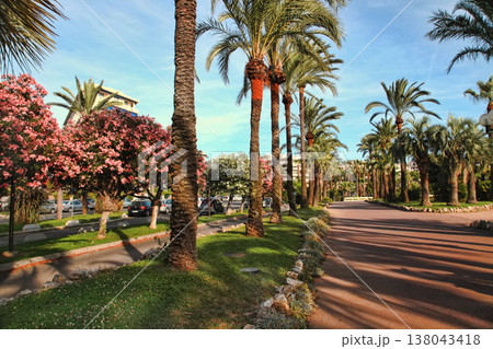 Palm trees on the Croisette in Cannes city. Cannes located in the French Riviera. The city is famous for its Film Festival. Palm trees on the Croisette in Cannes city. Cannes located in the French Riviera. The city is famous for its Film Festival. 138043418