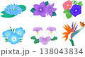 様々な花のイラスト 138043834