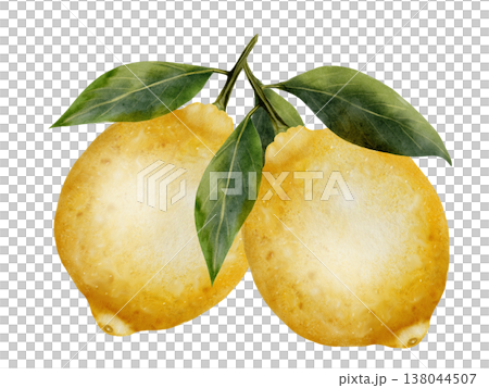 Lemons watercolor. Hand drawn tropical sour fruit. Clip art of juicy yellow lime. Citrus on isolated white background. Ideal for logo and packaging of natural cosmetics, household chemicals and design Lemons watercolor. Hand drawn tropical sour fruit. Clip art of juicy yellow lime. Citrus on isolated white background. Ideal for logo and packaging of natural cosmetics, household chemicals and design 138044507