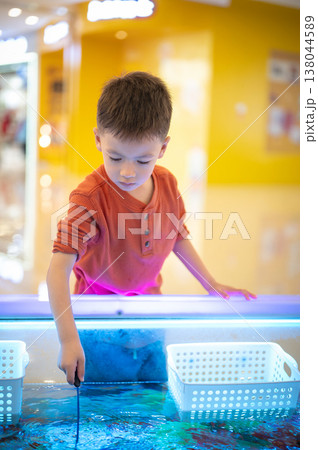 Happy boy scooping fish with a small net Happy boy scooping fish with a small net 138044589