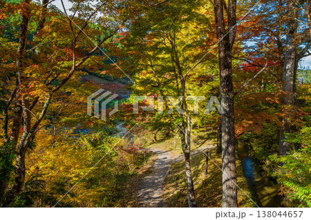 豊田市の大井平公園の紅葉した木々の風景(愛知県) 豊田市の大井平公園の紅葉した木々の風景(愛知県) 138044657