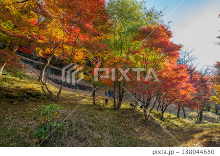 豊田市の大井平公園の紅葉した木々の風景(愛知県) 138044680