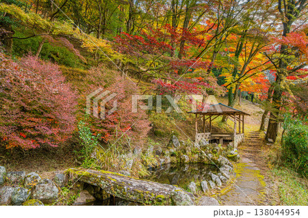 豊田市の大井平公園の紅葉した木々の風景(愛知県) 豊田市の大井平公園の紅葉した木々の風景(愛知県) 138044954