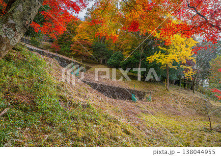 豊田市の大井平公園の紅葉した木々の風景(愛知県) 138044955