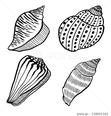 Set of hand-drawn vector illustrations depicting various seashells. Black and white marine sketches isolated on a white background. Perfect for beach-themed summer designs and nautical decor 138045162
