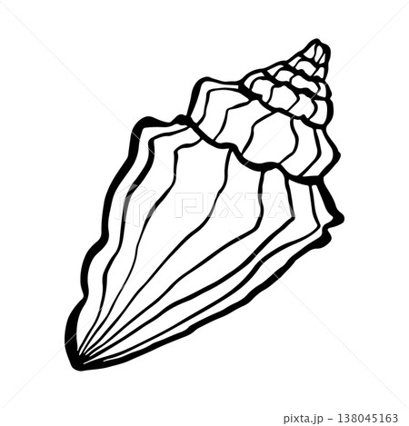 Vector hand-drawn illustration of a seashell. Seashell vector. Black and white marine sketch, isolated on a white background, perfect for a logo or decorative print. 138045163