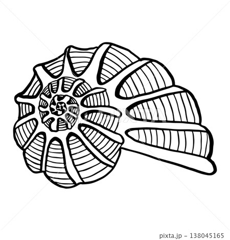 Vector hand-drawn illustration of a seashell. Seashell vector. Black and white marine sketch, isolated on a white background, perfect for a logo or decorative print. Vector hand-drawn illustration of a seashell. Seashell vector. Black and white marine sketch, isolated on a white background, perfect for a logo or decorative print. 138045165