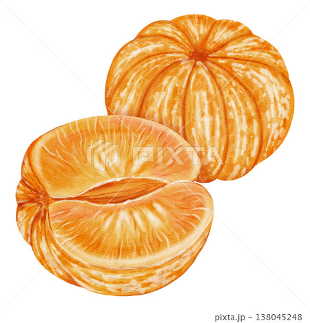 A composition of peeled mandarins. Watercolor illustration of a peeled tangerine. A citrus fruit. Perfect for New Year designs, packaging, menus, branding, and food design 138045248