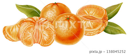 A composition of peeled and unpeeled mandarins. Watercolor illustration of a tangerine with green leaves. Citrus fruit. Ideal for New Year designs, packaging, menus, branding, and food product design A composition of peeled and unpeeled mandarins. Watercolor illustration of a tangerine with green leaves. Citrus fruit. Ideal for New Year designs, packaging, menus, branding, and food product design 138045252