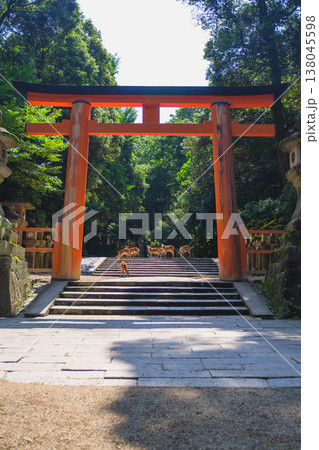 [春日大社]奈良を代表する世界遺産の風景 138045598