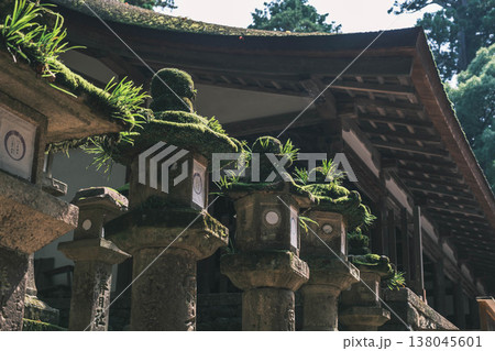 [春日大社]奈良を代表する世界遺産の風景 138045601