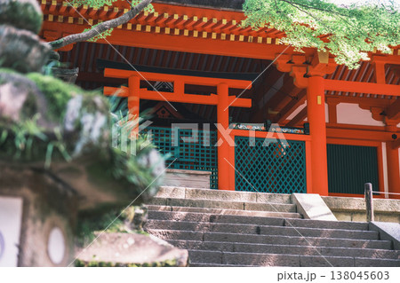 [春日大社]奈良を代表する世界遺産の風景 138045603