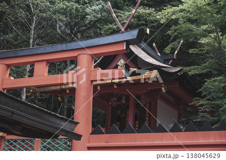 [春日大社]奈良を代表する世界遺産の風景 138045629