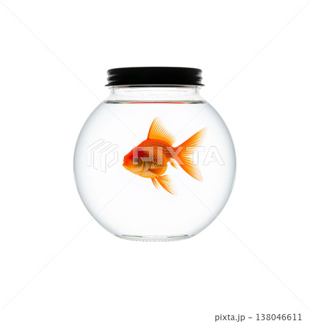 Goldfish Swims in Round Glass Bowl During Bright Indoor Light in a Simple Setting 138046611