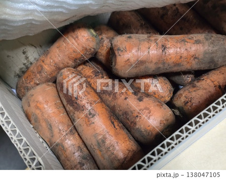 very fresh organic carrots bunch very fresh organic carrots bunch 138047105