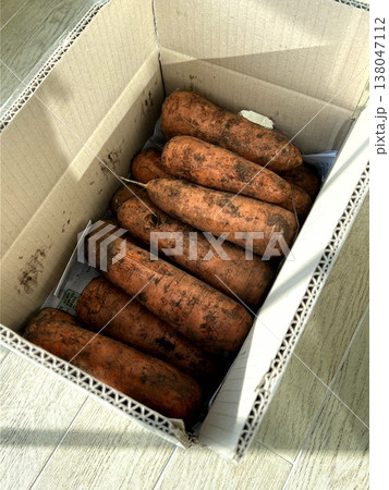 very fresh organic carrots bunch 138047112