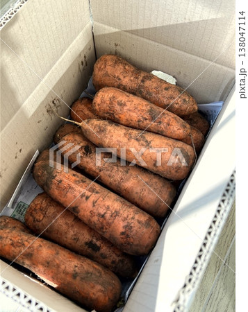 very fresh organic carrots bunch very fresh organic carrots bunch 138047114