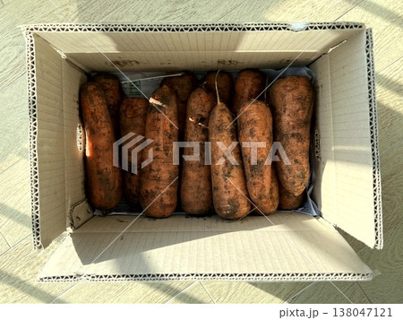very fresh organic carrots bunch very fresh organic carrots bunch 138047121