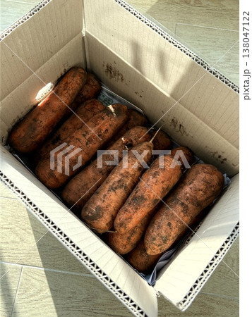 very fresh organic carrots bunch 138047122