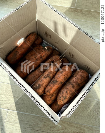 very fresh organic carrots bunch very fresh organic carrots bunch 138047123