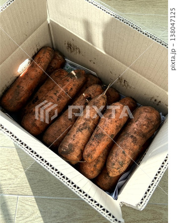 very fresh organic carrots bunch very fresh organic carrots bunch 138047125