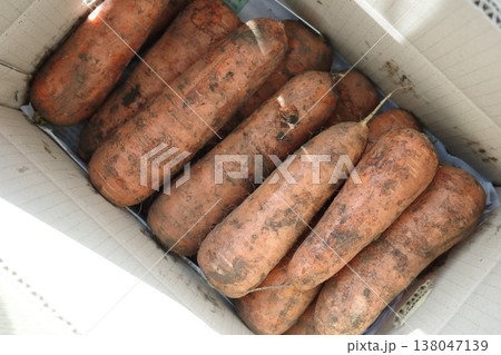 very fresh organic carrots bunch 138047139