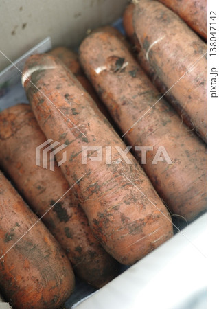 very fresh organic carrots bunch very fresh organic carrots bunch 138047142