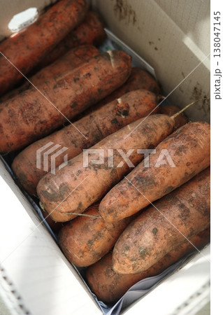 very fresh organic carrots bunch 138047145
