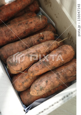 very fresh organic carrots bunch very fresh organic carrots bunch 138047148