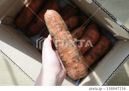very fresh organic carrots bunch very fresh organic carrots bunch 138047156