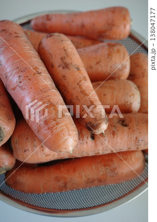 very fresh organic carrots bunch very fresh organic carrots bunch 138047177