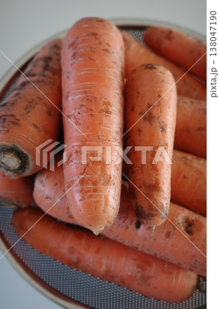 very fresh organic carrots bunch 138047190