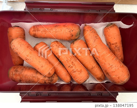 very fresh organic carrots bunch 138047195