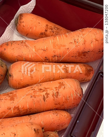 very fresh organic carrots bunch very fresh organic carrots bunch 138047200