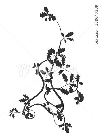 pattern oak leaves and plant weaving new vector 138047339