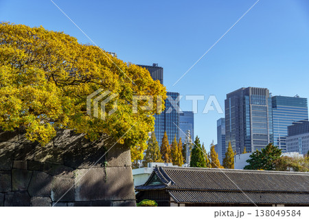 the city of tokyo at autumn time the city of tokyo at autumn time 138049584