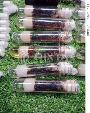 Test tubes filled with live ants are displayed for sale at an insect exhibition. Visitors can learn about home breeding and how to care for these insects in 2023. Test tubes filled with live ants are displayed for sale at an insect exhibition. Visitors can learn about home breeding and how to care for these insects in 2023. 138049614