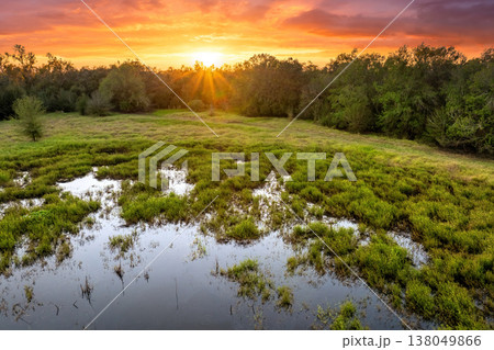 Wild tropical nature with dense green vegetation at sunset. Florida wetland lake in southern USA Wild tropical nature with dense green vegetation at sunset. Florida wetland lake in southern USA 138049866