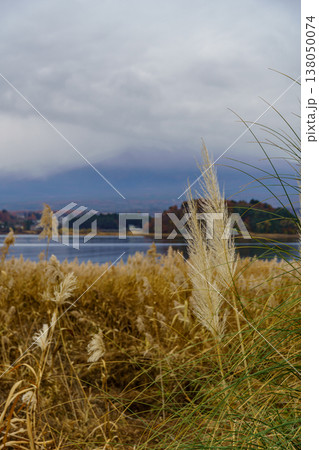 tokyo city in Japan at autumn time 138050074