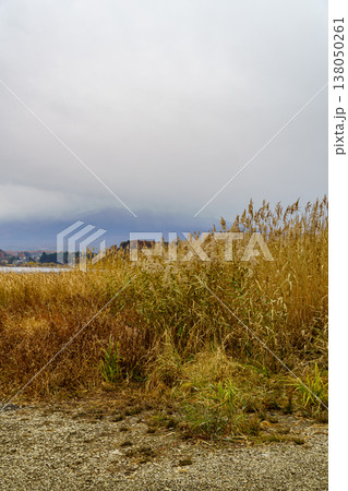 autumn time near Tokyo in japan autumn time near Tokyo in japan 138050261