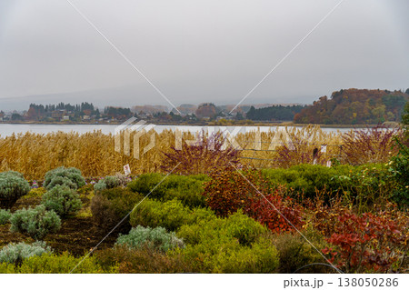 autumn time near Tokyo in japan 138050286