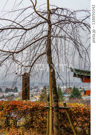 autumn time near Tokyo in japan autumn time near Tokyo in japan 138050342