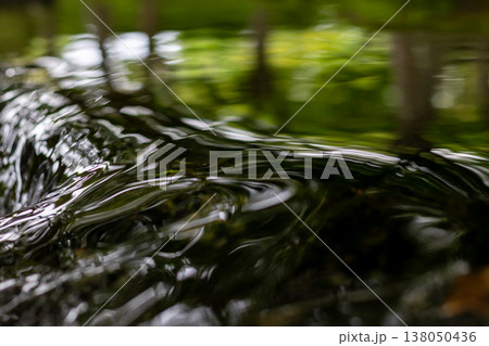 新緑を映す水面｜波紋の模様 138050436