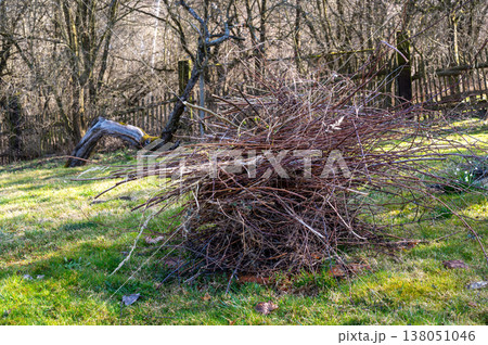 Pile of wood prepared for burning in old garden fireplace, rustic outdoor scene, concept of energy, preparation, resource use and traditional countryside lifestyle Pile of wood prepared for burning in old garden fireplace, rustic outdoor scene, concept of energy, preparation, resource use and traditional countryside lifestyle 138051046