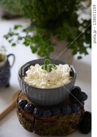 Cottage Cheese Bowl with Blueberries and Fresh Mint Cottage Cheese Bowl with Blueberries and Fresh Mint 138051109