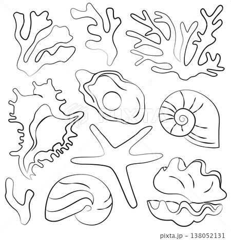 Hand-drawn sea treasures, shells, corals, starfish and pearl oyster, underwater sea world graphic illustrations for wedding decor Hand-drawn sea treasures, shells, corals, starfish and pearl oyster, underwater sea world graphic illustrations for wedding decor 138052131