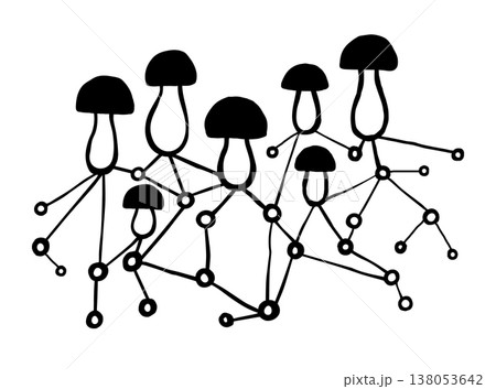 Porcini mushrooms mycelium. Ink black hand drawn line illustration on white background. Porcini mushrooms mycelium. Ink black hand drawn line illustration on white background. 138053642